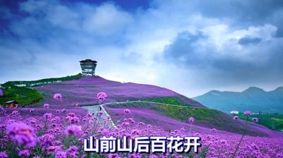 卤蛋超人爱听音乐 - 一首经典歌曲《山前山后百花开》