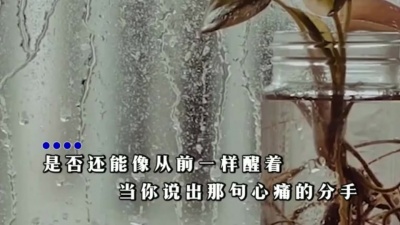 歌无忧 - 不要说爱我