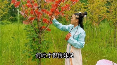 音乐铺 - 云南山歌《天上下雨地上落》山歌对唱