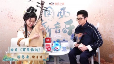 柳青瑶、国风新音乐 - 百舞惊鸿