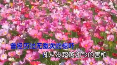 星辰原创 - 最美的花