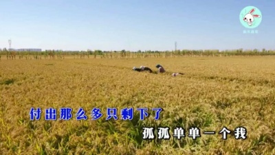 郭甜甜 - 你说哭过爱过