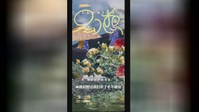 赖美云、黄霄雲 - 幻想
