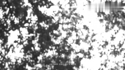 참솜 - 클로버