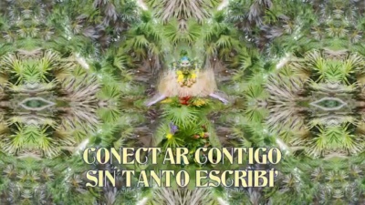 Bomba Estéreo、Yemi Alade - Conexión Total