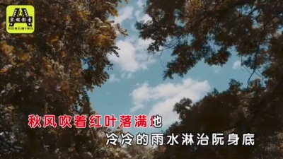欧元 - 风中一朵花