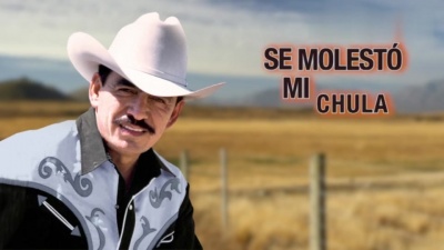 joan sebastian - Vochito Chocado