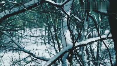 Sam Williams - Snow Angels