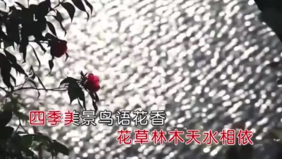 袁雪儿 - 卤汀河畔我的家乡
