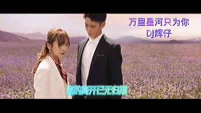 DJ辉仔 - 万里星河只为你DJ辉仔