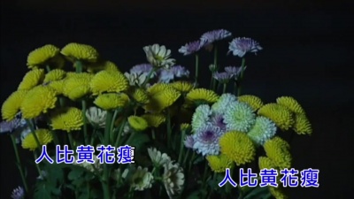 朱思思musician - 醉花阴·薄雾浓云愁永昼