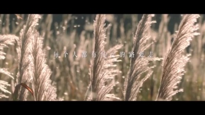 影视大网罗 - 《雪中悍刀行》何处不相逢收官告别