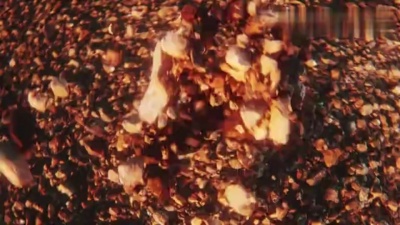 Archive - Fear There & Everywhere