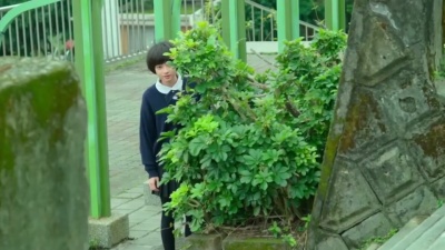 白色 - 我们