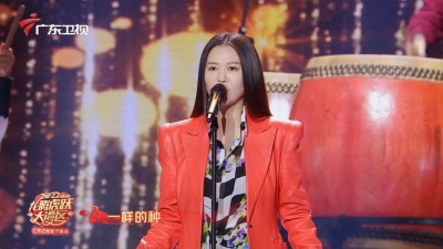 谭维维 - 中国人