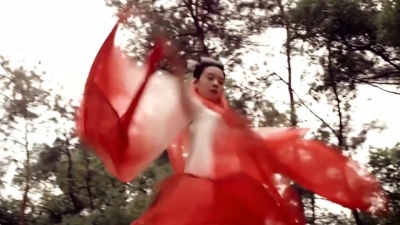 锦零 - 红昭愿