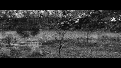 朴春、金民锡 - 꽃(Flower)