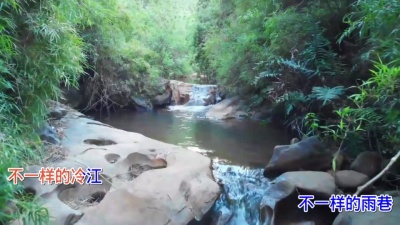 陈诚CV、陈诚 - 冷江雨巷