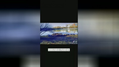 grotto - 昨夜渡轮上 申国峰 陈浩德老师2022慰问风险隔离区异乡打工仔妹