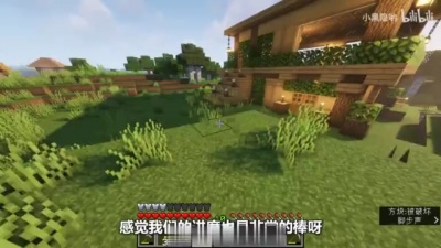 疯狂的左手 - 【我的世界】#1 纯纯老实人生存 1.17原版生存 平原小别墅建成！