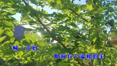 肖潇 - 喊一声妈