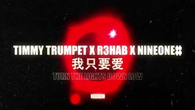 Timmy Trumpet、R3HAB、NINEONE # - 我只要爱 (Turn The Lights Down Low)