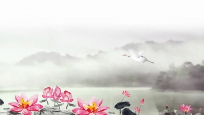 Fanfan - 落江南