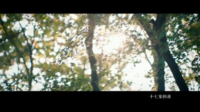 王笑文 - 耿耿于怀