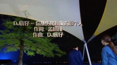 DJ辉仔 - 你是伤我最深的那个人
DJ辉仔