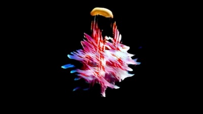 Sub Focus、Gene Farris - It's Time