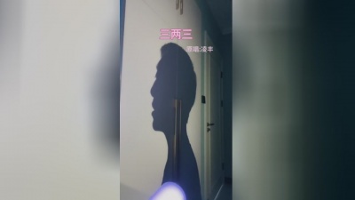 刘佳鑫 - 网络热歌，最新流行的歌曲，三两三
