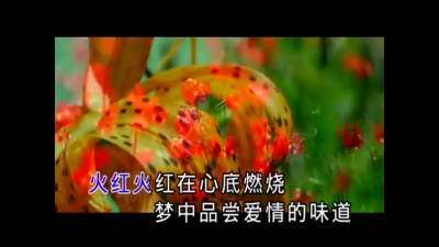 天骏 - 萨日朗的微笑