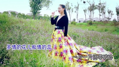 纳兰珠儿 - 花思蝶
