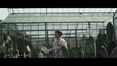 邓小巧 - 强弱