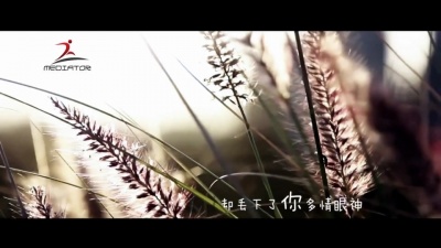 马良 - 当你走了
