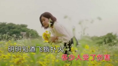 张润华 - 糊涂债