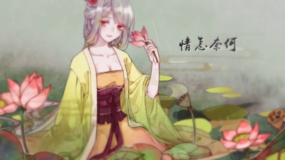 锦零 - 梨花雨