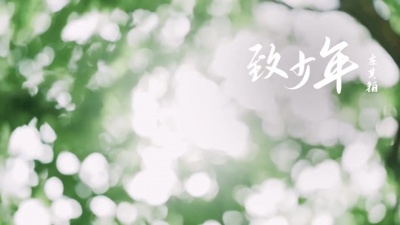 左其铂 - 致少年