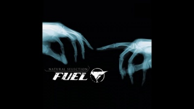 Fuel - Quarter
