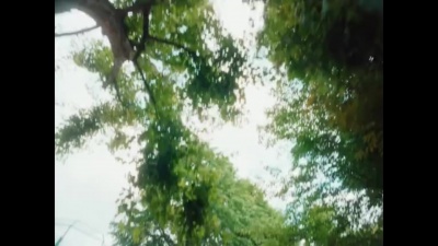 asmi - earth meal