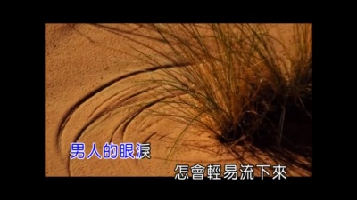 苗伟 - 男人泪好珍贵