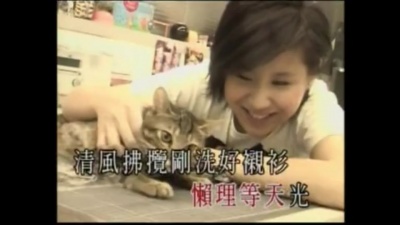 贾立怡 - 自由猫