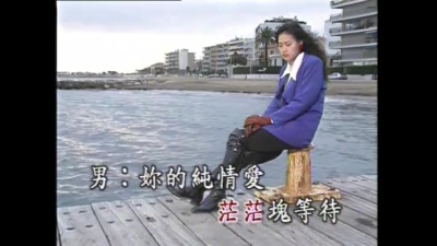 陈盈洁 - 月圆思情