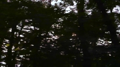 Tei - 그리운 날에는