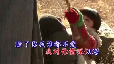 付海燕 - 情深似海