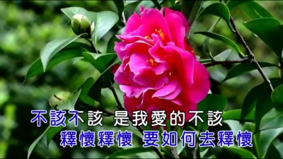 樱樱 - 蔑爱