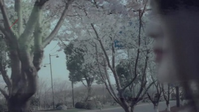 野儿妹妹 - 阿古力官方《贪心》MV