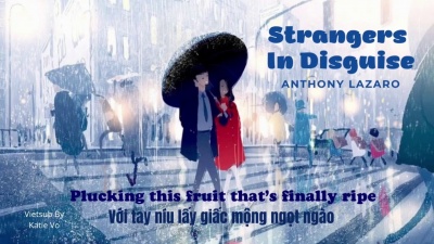 不要再叫我老公了 - Vietsub - Strangers In Disguise - Anthony Lazaro