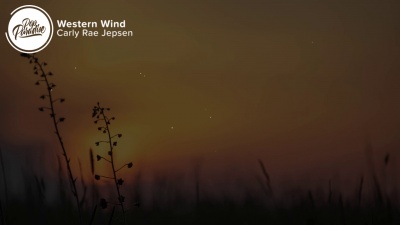 影视综艺君 - Carly Rae Jepsen - Western Wind (Lyrics)