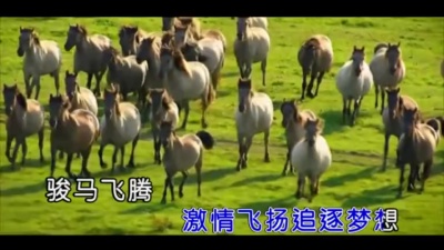 轨道 - 骏马飞腾